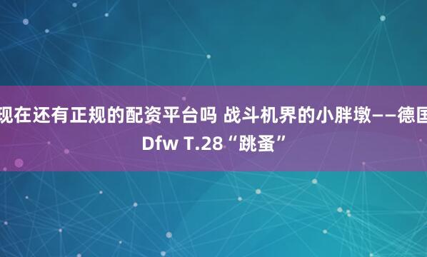 现在还有正规的配资平台吗 战斗机界的小胖墩——德国Dfw T.28“跳蚤”