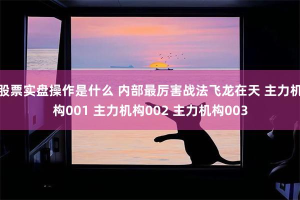 股票实盘操作是什么 内部最厉害战法飞龙在天 主力机构001 主力机构002 主力机构003