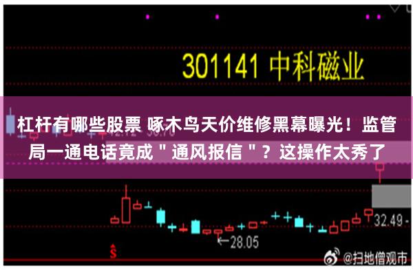 杠杆有哪些股票 啄木鸟天价维修黑幕曝光！监管局一通电话竟成＂通风报信＂？这操作太秀了