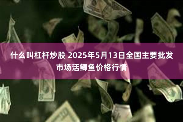 什么叫杠杆炒股 2025年5月13日全国主要批发市场活鲫鱼价格行情