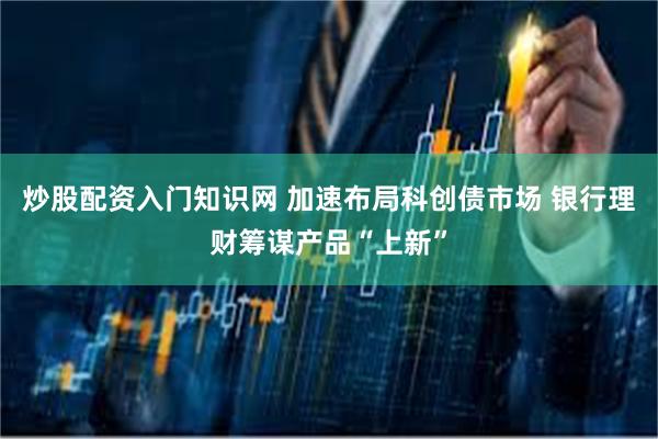炒股配资入门知识网 加速布局科创债市场 银行理财筹谋产品“上新”