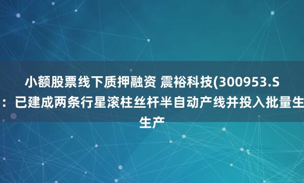 小额股票线下质押融资 震裕科技(300953.SZ)：已建成两条行星滚柱丝杆半自动产线并投入批量生产