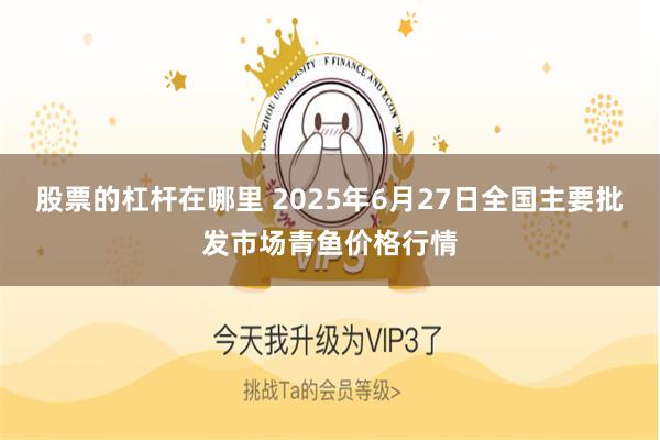 股票的杠杆在哪里 2025年6月27日全国主要批发市场青鱼价格行情