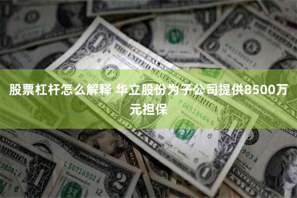 股票杠杆怎么解释 华立股份为子公司提供8500万元担保