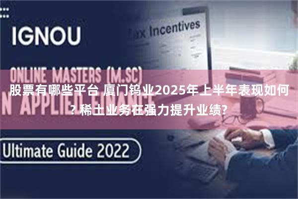 股票有哪些平台 厦门钨业2025年上半年表现如何? 稀土业务在强力提升业绩?