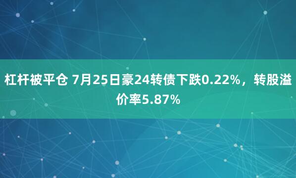 杠杆被平仓 7月25日豪24转债下跌0.22%，转股溢价率5.87%