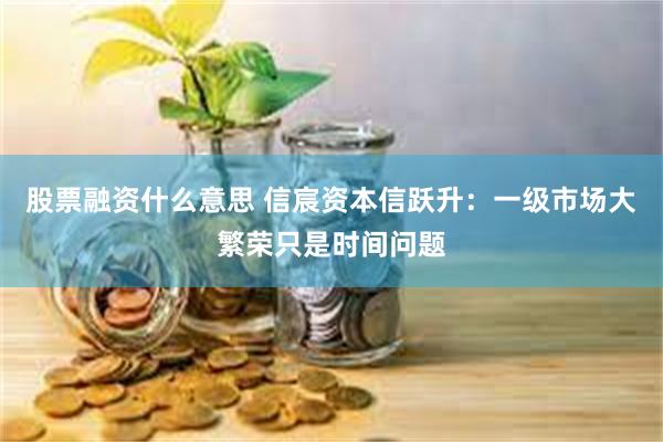 股票融资什么意思 信宸资本信跃升：一级市场大繁荣只是时间问题