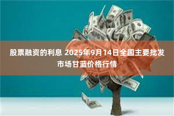 股票融资的利息 2025年9月14日全国主要批发市场甘蓝价格行情